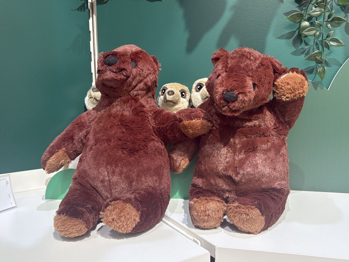 これは渋谷のIKEAで漫才してたクマちゃん