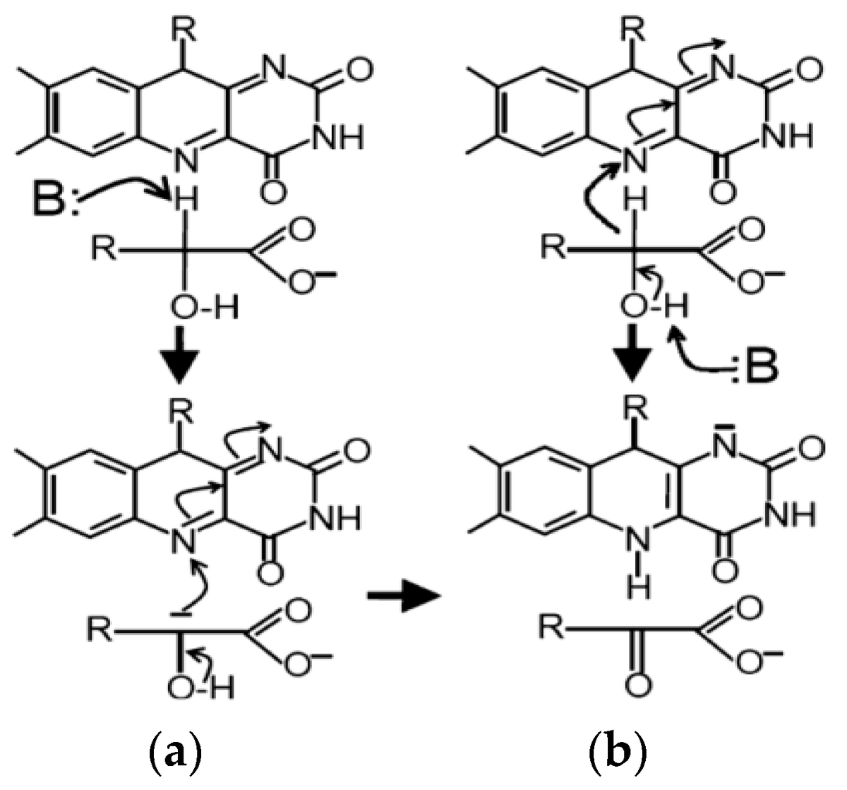 Biosensors_MDPI's tweet photo. 📣Call for Reading:
#Article
Peroxidase-like Nanoparticles of Noble Metals Stimulate Increasing Sensitivity of Flavocytochrome b2-Based L-Lactate Biosensors
By Galina Gayda, Marina Nisnevitch, et al.
https://t.co/GcEJPTcH4O
#nanoparticle #amperometric #biosensor https://t.co/0CR0suw5uC