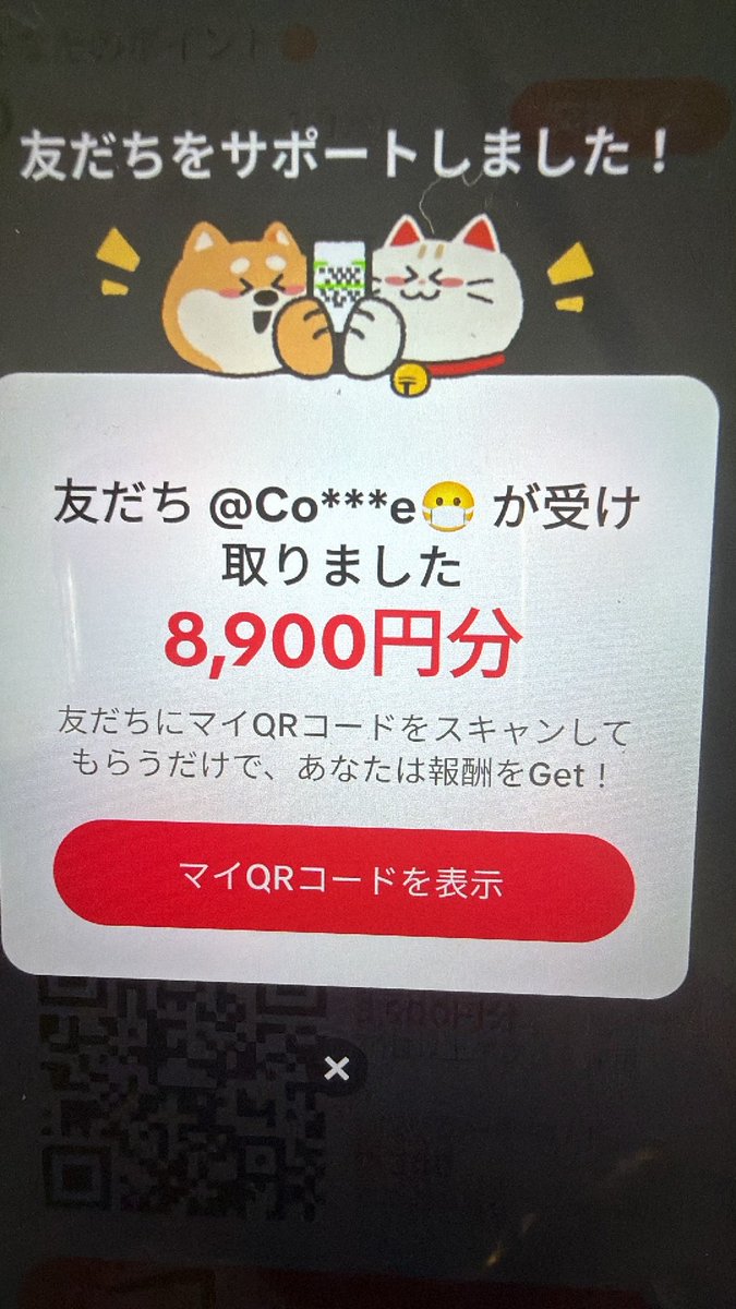 Puchan tweet media