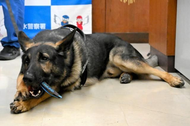朝日新聞デジタル編成席 tweet media