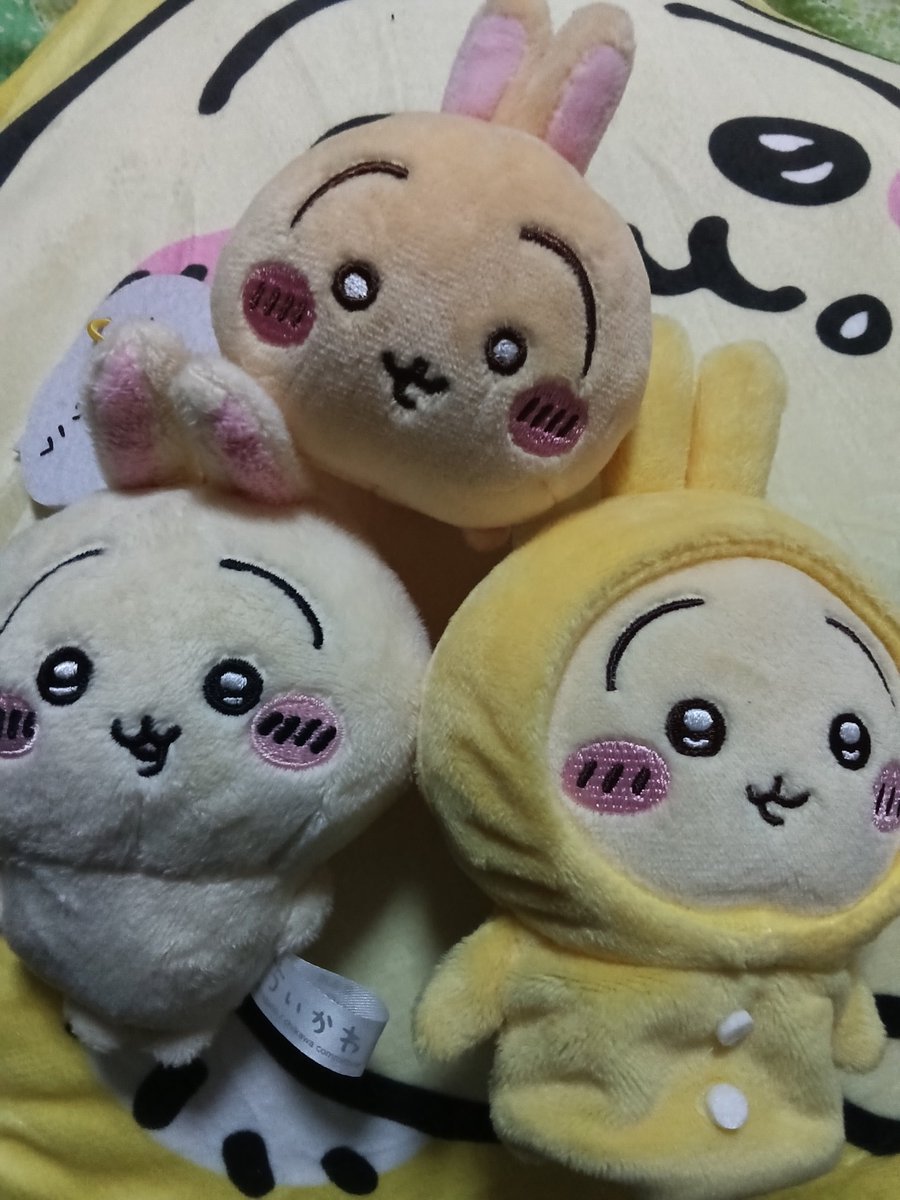 今日のぷりゃ活🐰 満足☺️ #ちいかわ好きな人と繋がりたい