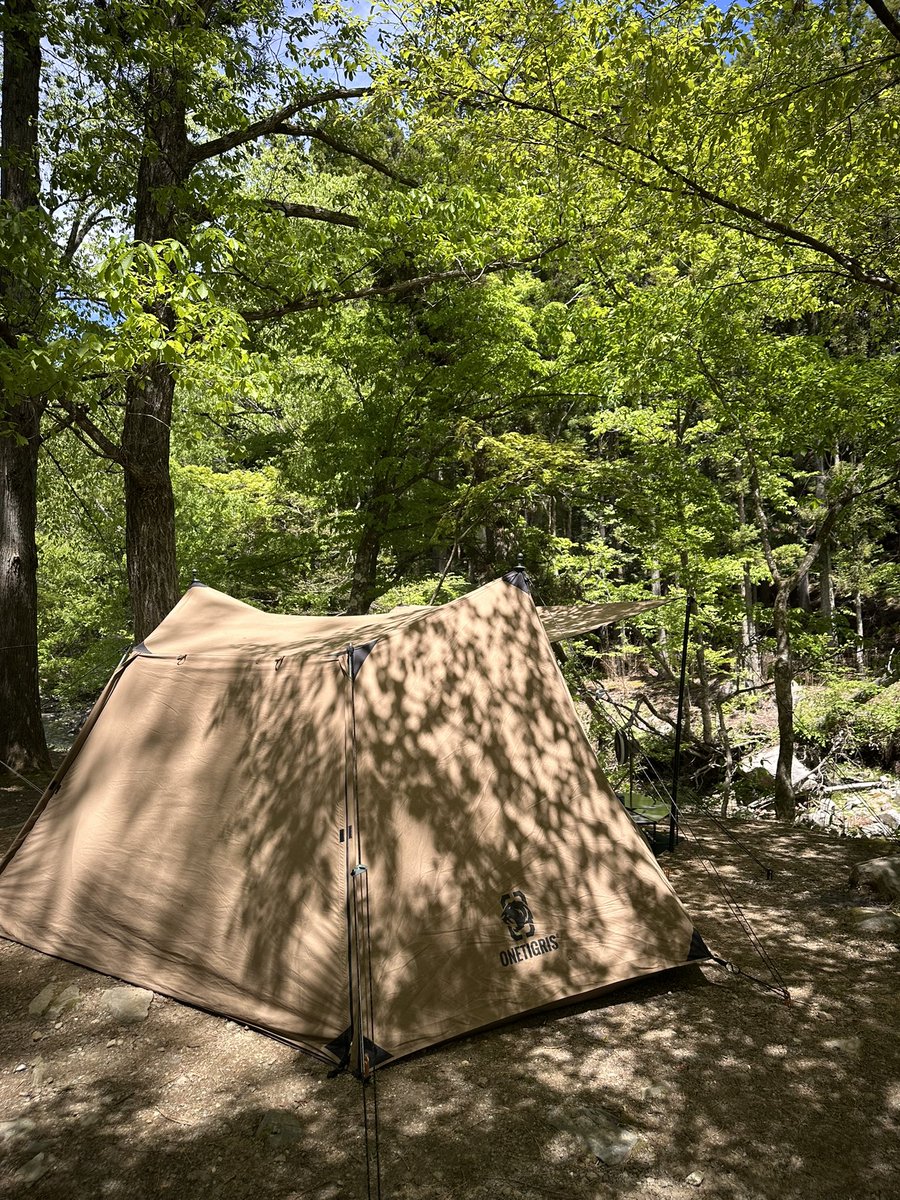 Qoonel_camp's tweet photo. GW期間中はジッと耐えてからのソロホムドーン！ https://t.co/ngjp4HxDTY