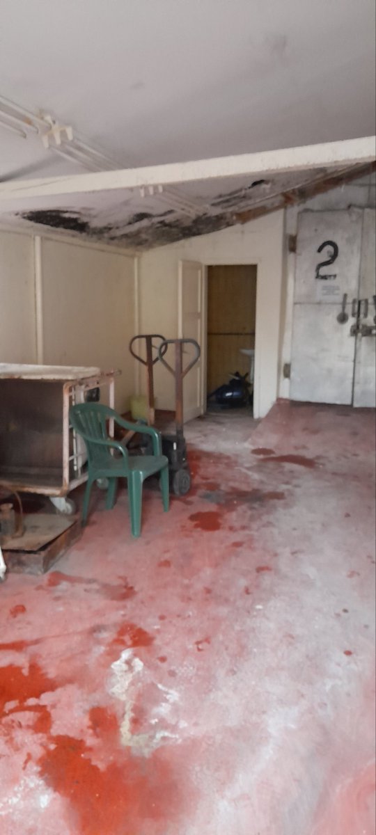 zamrznuta's tweet photo. Mislila sam da mogu sama, uspela sam da za 6 meseci reprogramiram kredite. I da uz pomoć vas nekolicine,   raščistim pogon. Delimično saniram krov.
Ako ste u mogućnosti minimalno ili želite slatko u pretplati, mali zidani deo mogu opremiti za bezbednu proiz.
Hvala i molim za RT https://t.co/Vvm57JPH0O