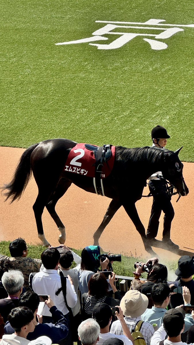 テラちん🐴 tweet media