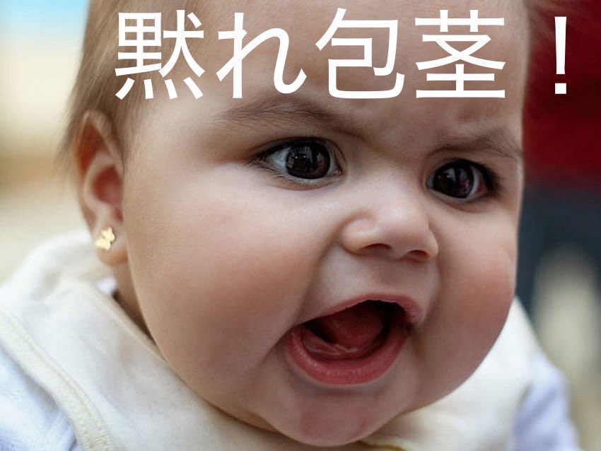 かえる先輩 tweet media