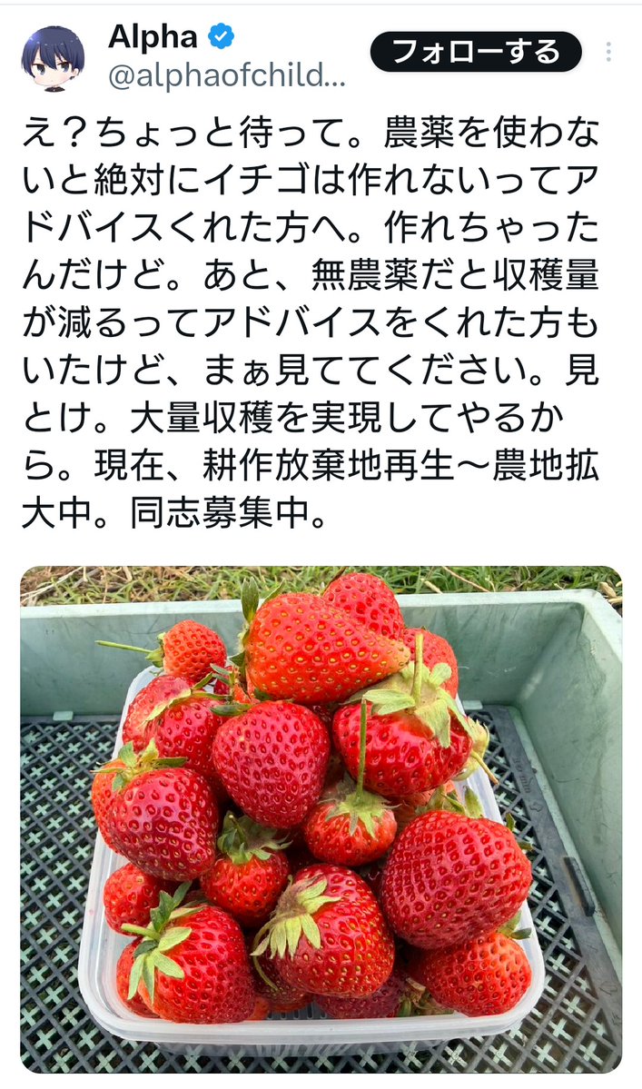 蒼色帝草丸 tweet media