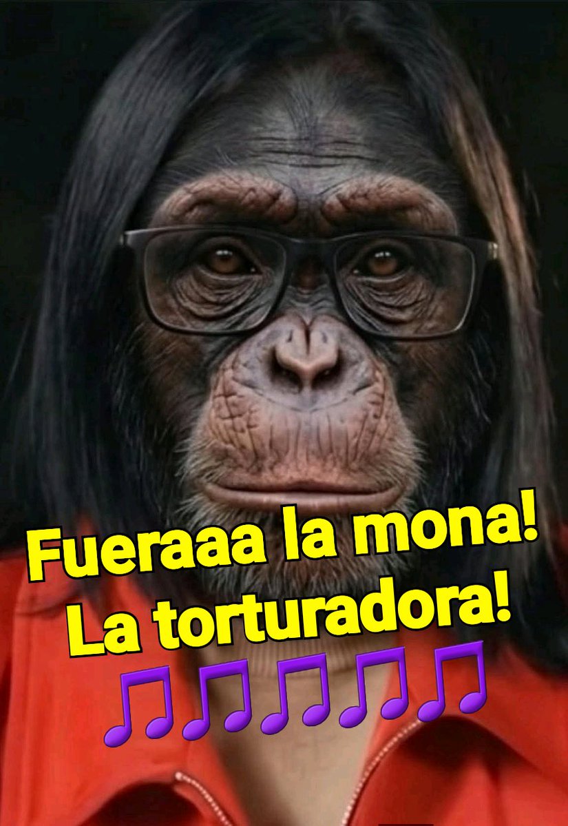 miguel galindo tweet media