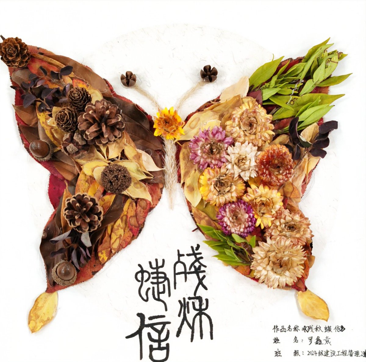 Jamal Ali tweet media