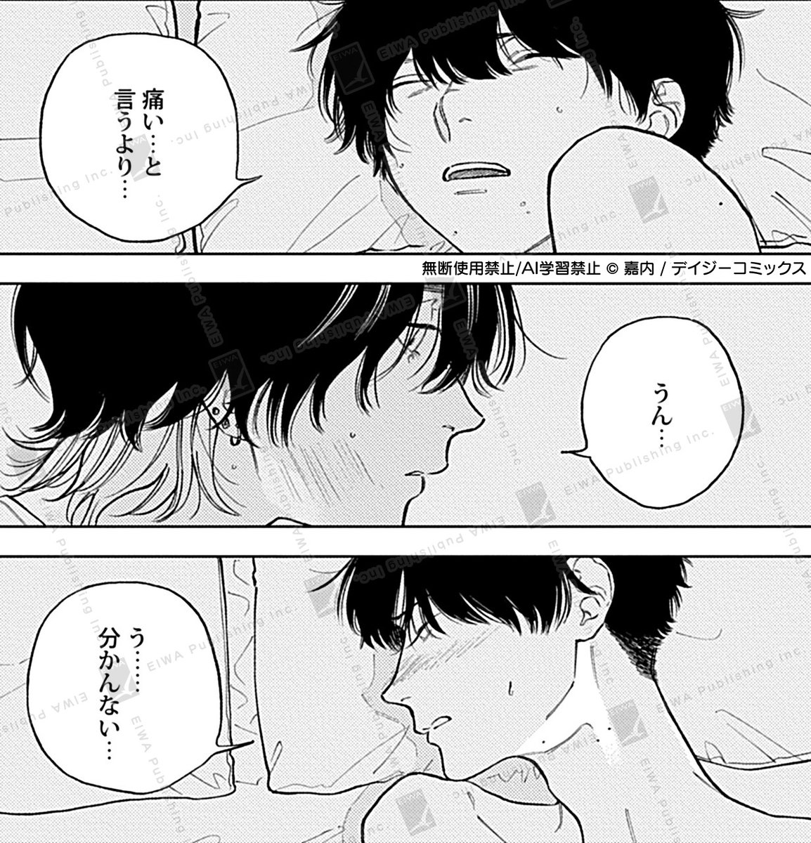 DAISY編集部 tweet media