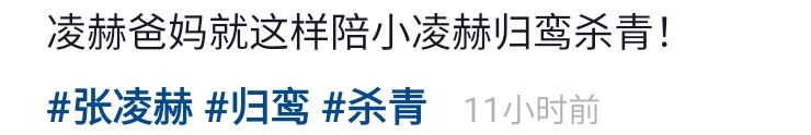 张凌赫的小核桃𖹭 tweet media
