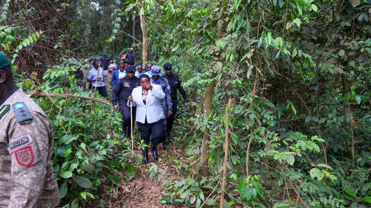 Uganda Wildlife Authority tweet media