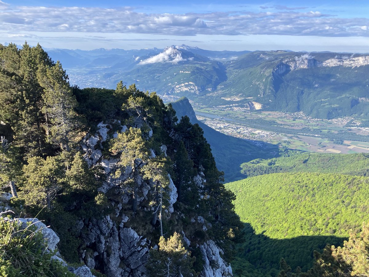 Clalaucla's tweet photo. Bivouac au rocher de Chalves pour observer les Tetras lyre. Belles observations à la jumelle au sommet des épicéas #chartreuse #nature #chalves https://t.co/3UiqEN3ICq