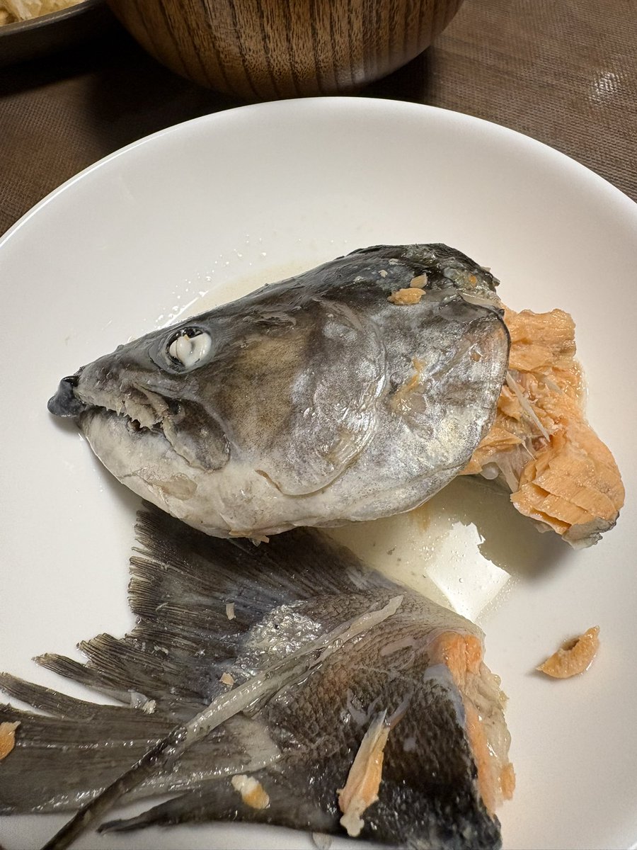 Tetsu angler tweet media
