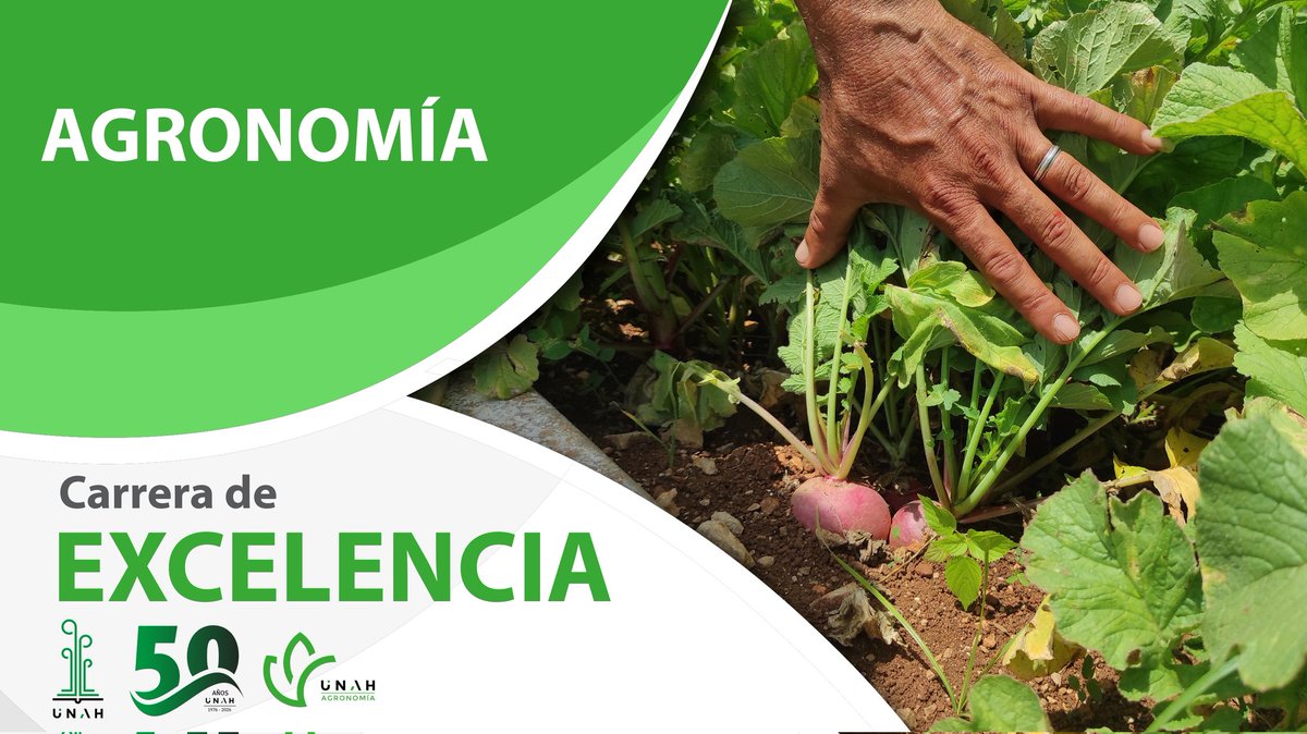 UNAH_Cuba's tweet photo. 🌱🎉 #SienteCreceYTransforma | El pleno 58 de la Junta de Acreditación Nacional otorgó la categoría de EXCELENCIA a la carrera de Agronomía. 

Muchas felicidades a todos los estudiantes, profesores, trabajadores, investigadores y egresados que hicieron posible este resultado. https://t.co/dNOSd1hKa5
