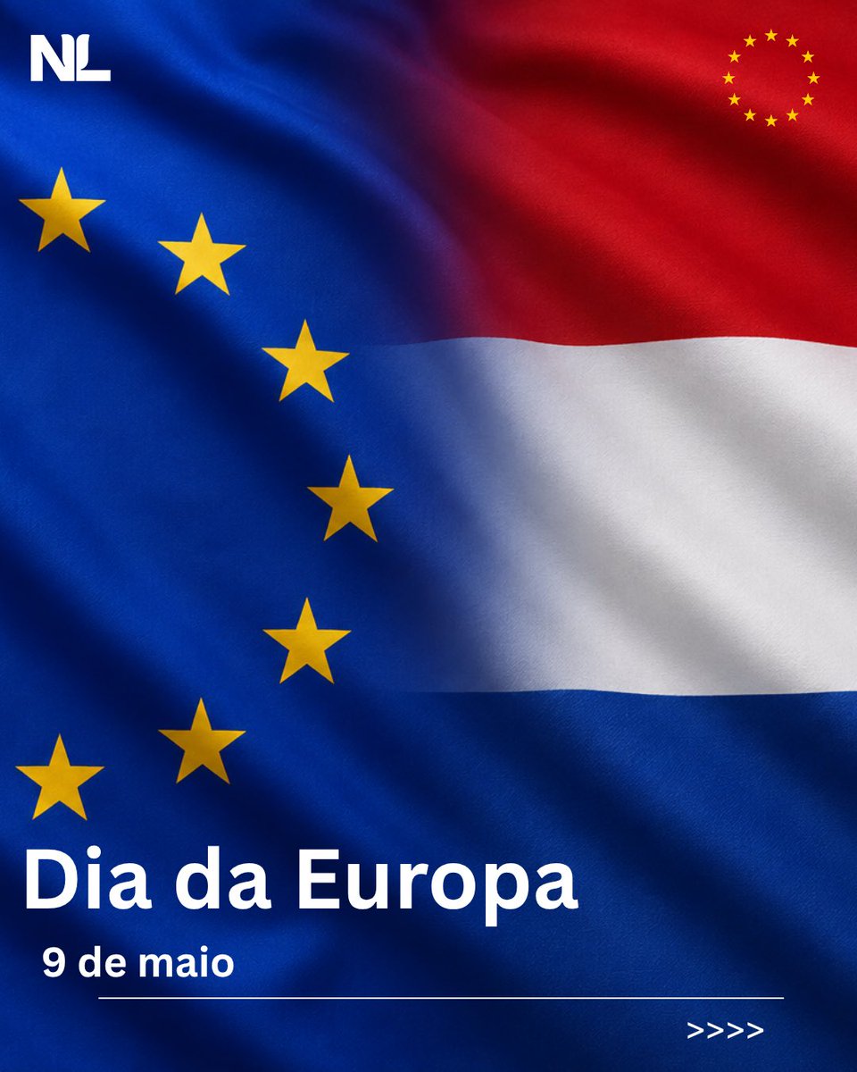 Netherlands in Brazil tweet media