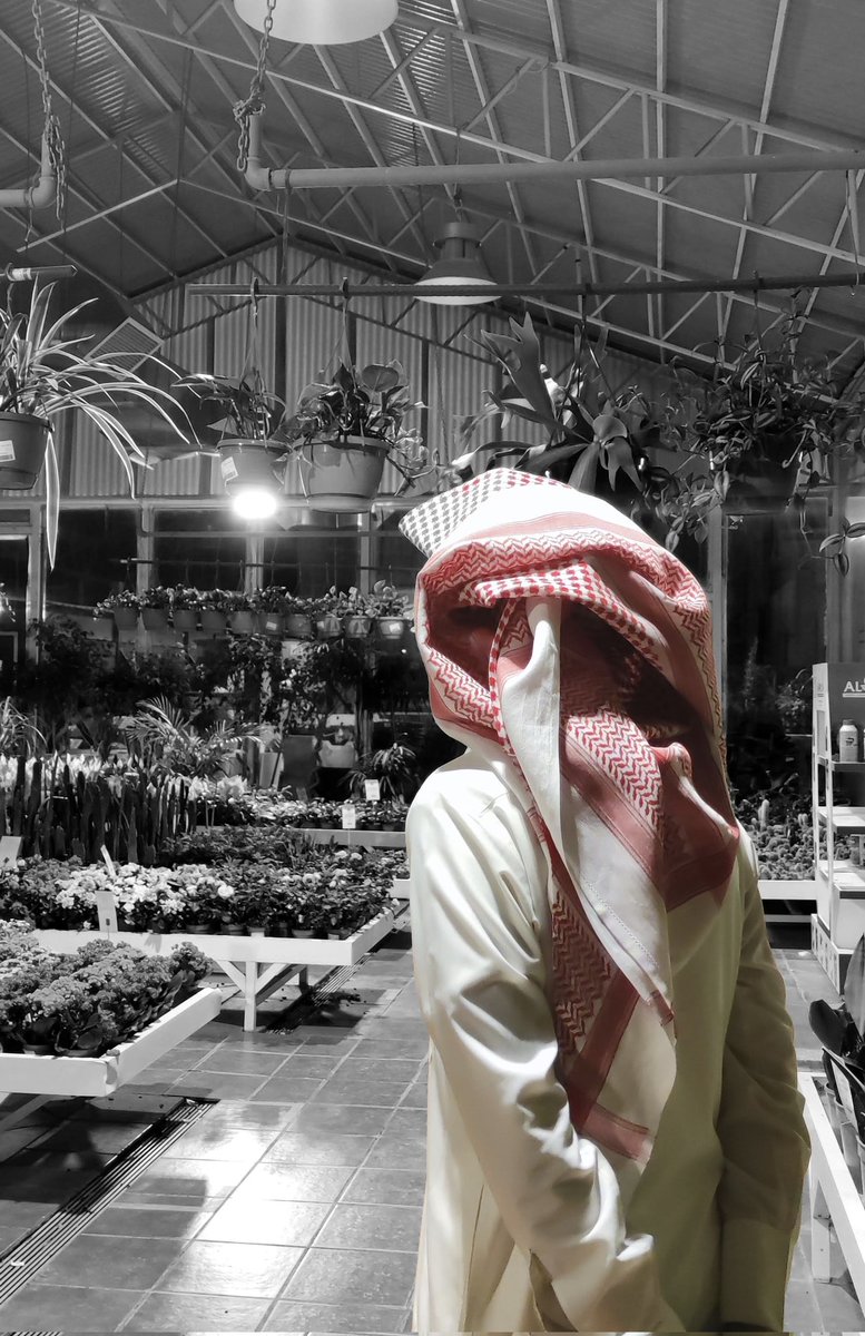 ريــمــارهـ tweet media