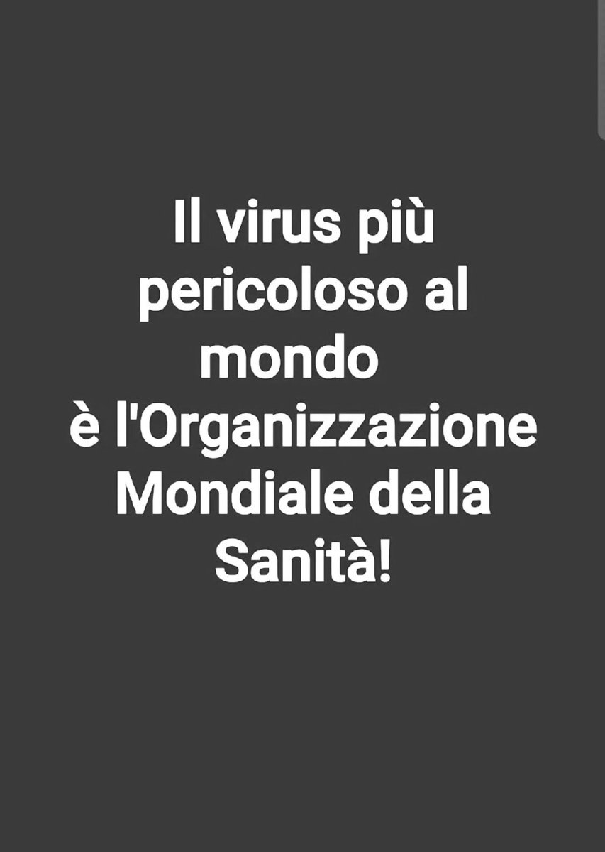 FabioZFZ9🐻🐺 Фабио ЗФЗ9 tweet media