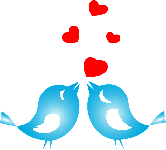 Basil Noah tweet media