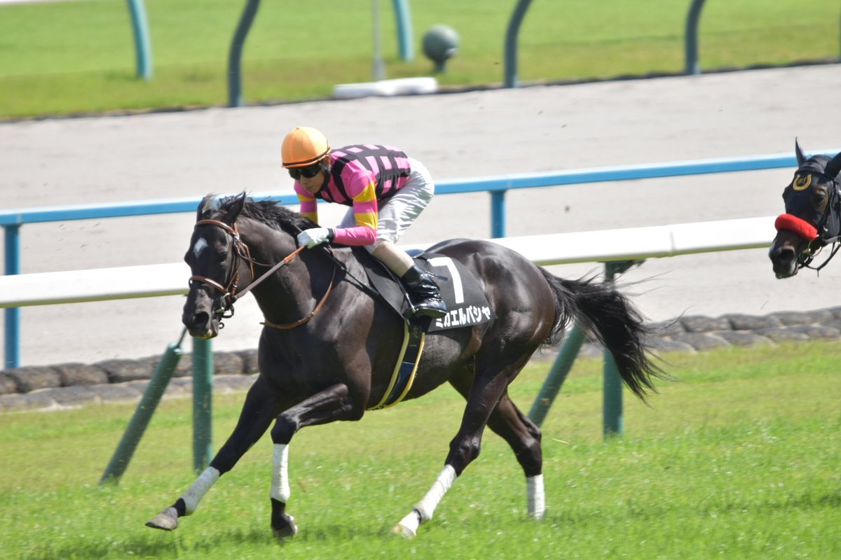 mguma_'s tweet photo. ꕀ☆

2026.05.09 京都10R

#ミカエルパシャ #橋口厩舎
#北村友一 騎手🏇

ꕀ☆ https://t.co/JObzYOn8Ya