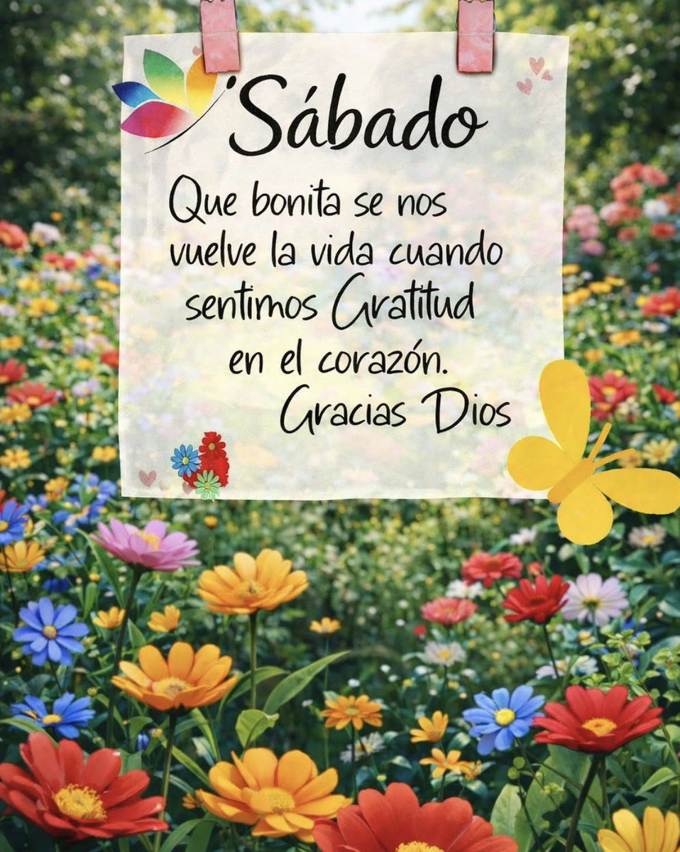Silvia..🇸🇻💙 tweet media