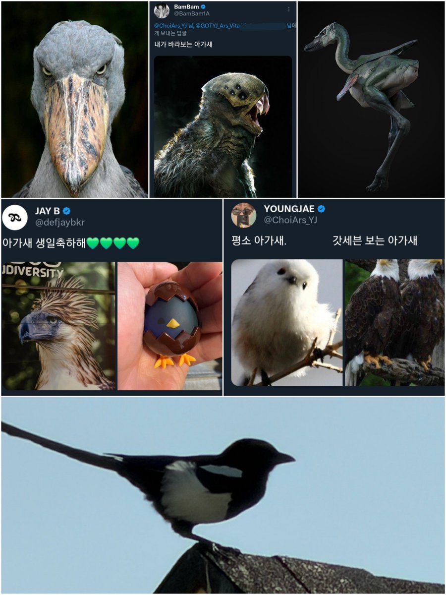 💞So£T💞 𝕄𝕠𝕕𝕖: ♡ 영재 𓂃 ࣪ ִֶָ☾. tweet media