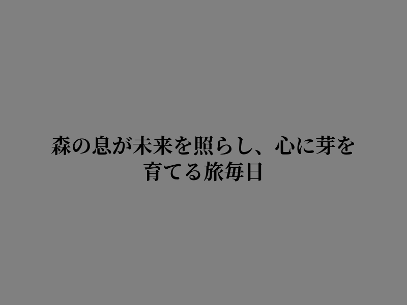 ゆあ tweet media