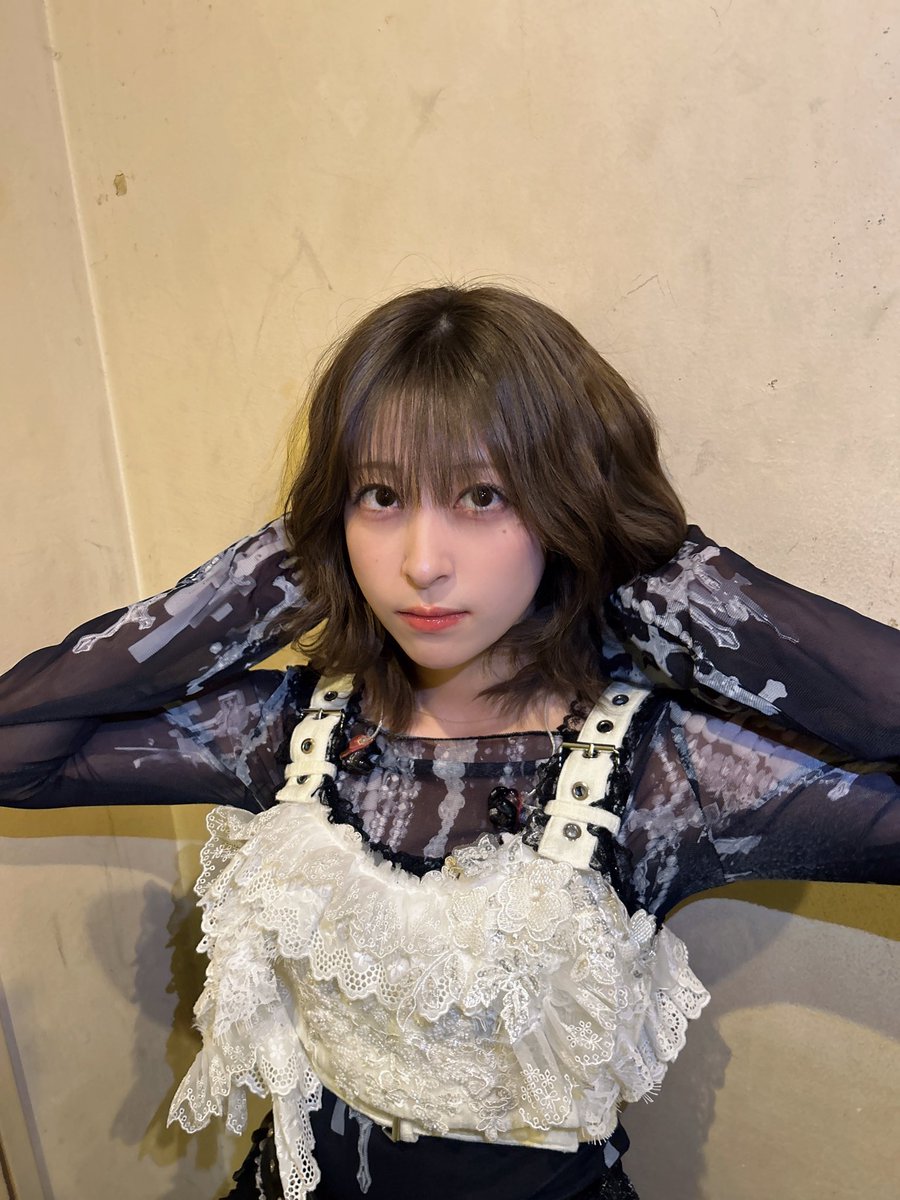 Apollo Bay 公式 tweet media