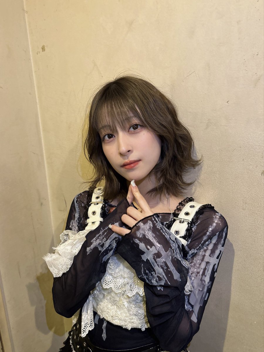 Apollo Bay 公式 tweet media