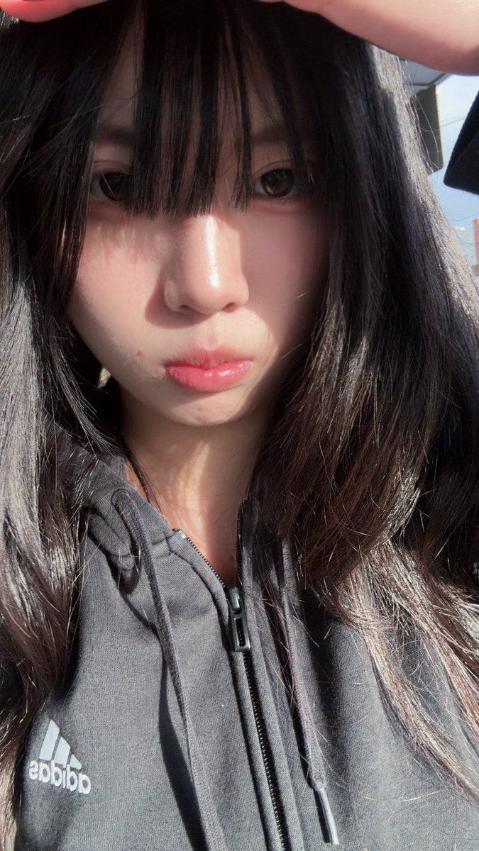 抱鹅宝 tweet media