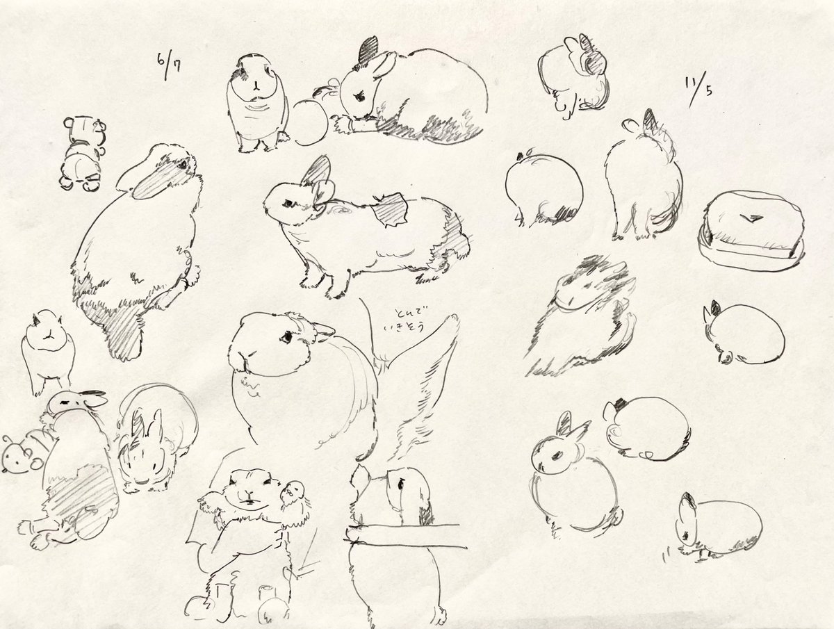 Momoyama Mogyuhei もぎゅへい (@m_mogyuhei) on Twitter photo 