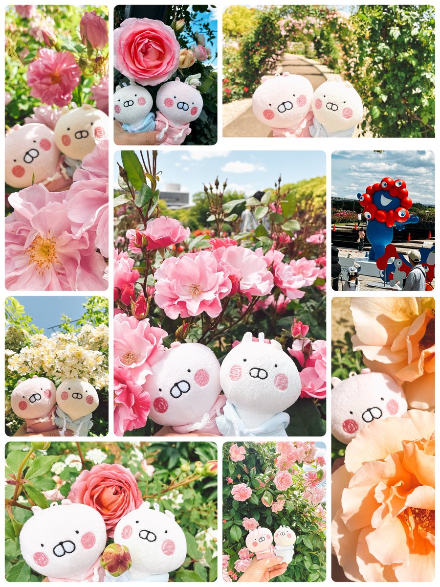 うさ子 様 おまとめ♡ AZONE INTERNATIONAL::Lil Fairy::商品紹介-商品詳細