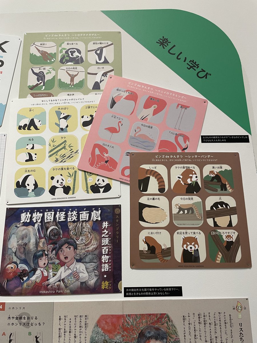 zumilig2411's tweet photo. #ZWD #ZooDesignWonder
国立新美術館の都立動物園水族館のデザイン展に行ってきた！来園者に生き物のことを楽しく理解してもらうためにいろんな工夫されてて面白かったです。ねずみの赤入れがすごくて情熱を感じた……🐀 https://t.co/BmjudQeX45