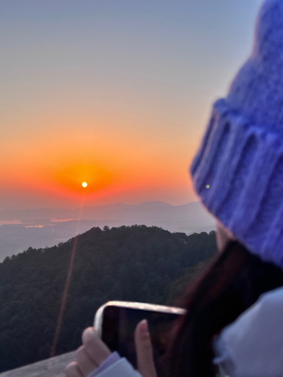 berdaitz46's tweet photo. "Sunrise hike at Table Mountain  | Clear skies, wild proteas, and a view that made the early wake-up worth it. Grateful for these quiet moments with nature.  #TravelDiaries #NatureLovers" https://t.co/MY9DzXTGwK