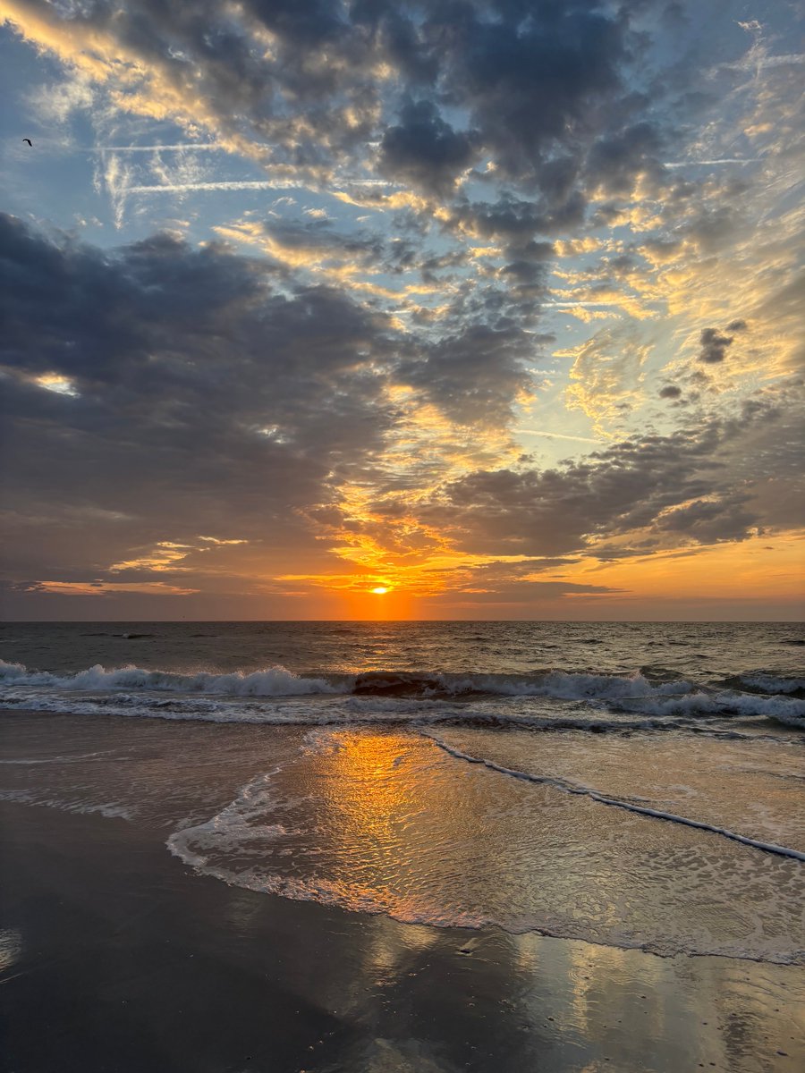 Jenn 🌅🐬🌊☘️ tweet media
