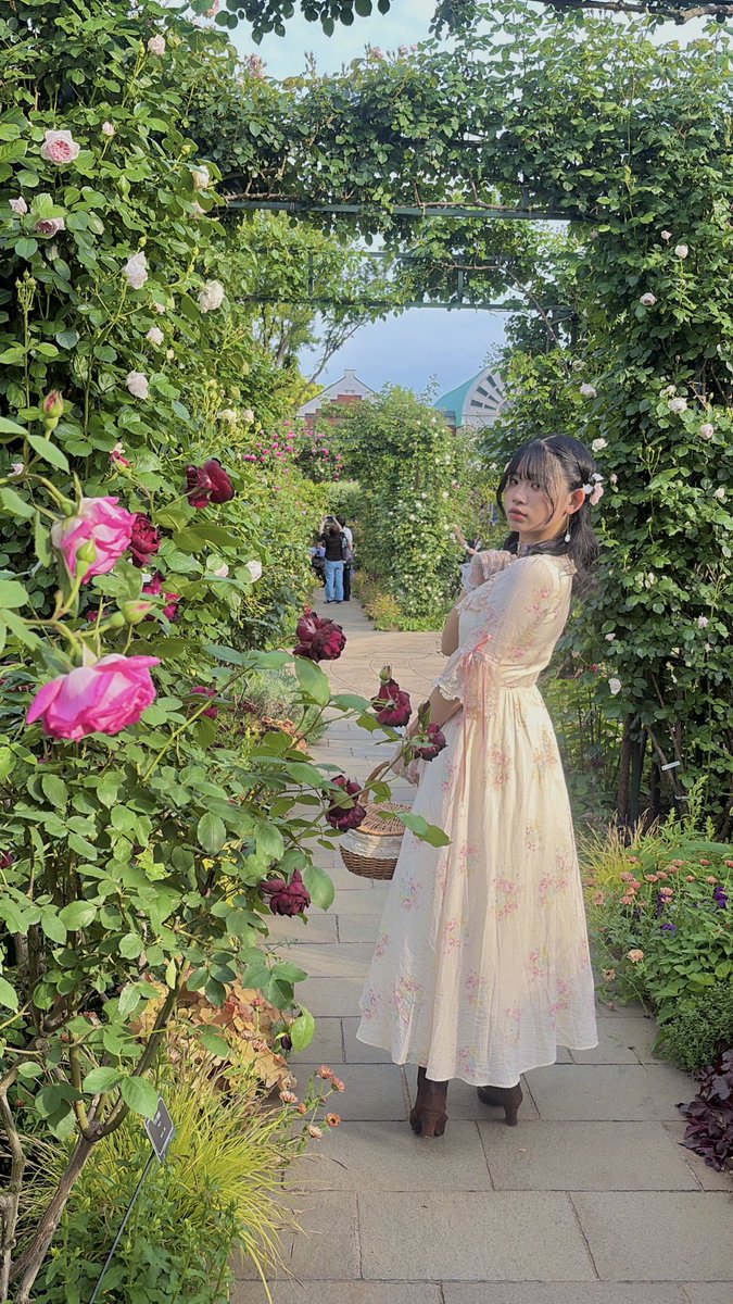 ちゃま🐝🌻claVa puella tweet media