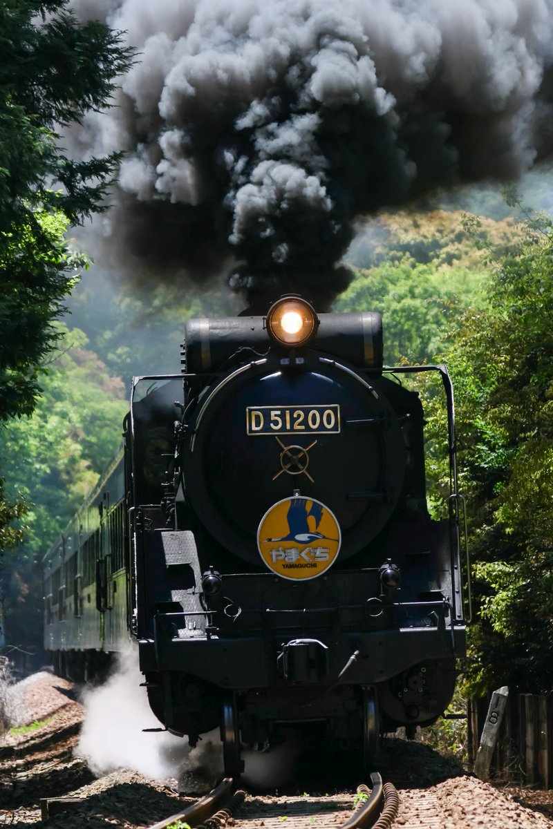 5月9日(土)SLやまぐち号撮影 D51 200＋35系客車5B 夜勤明けに往路1発