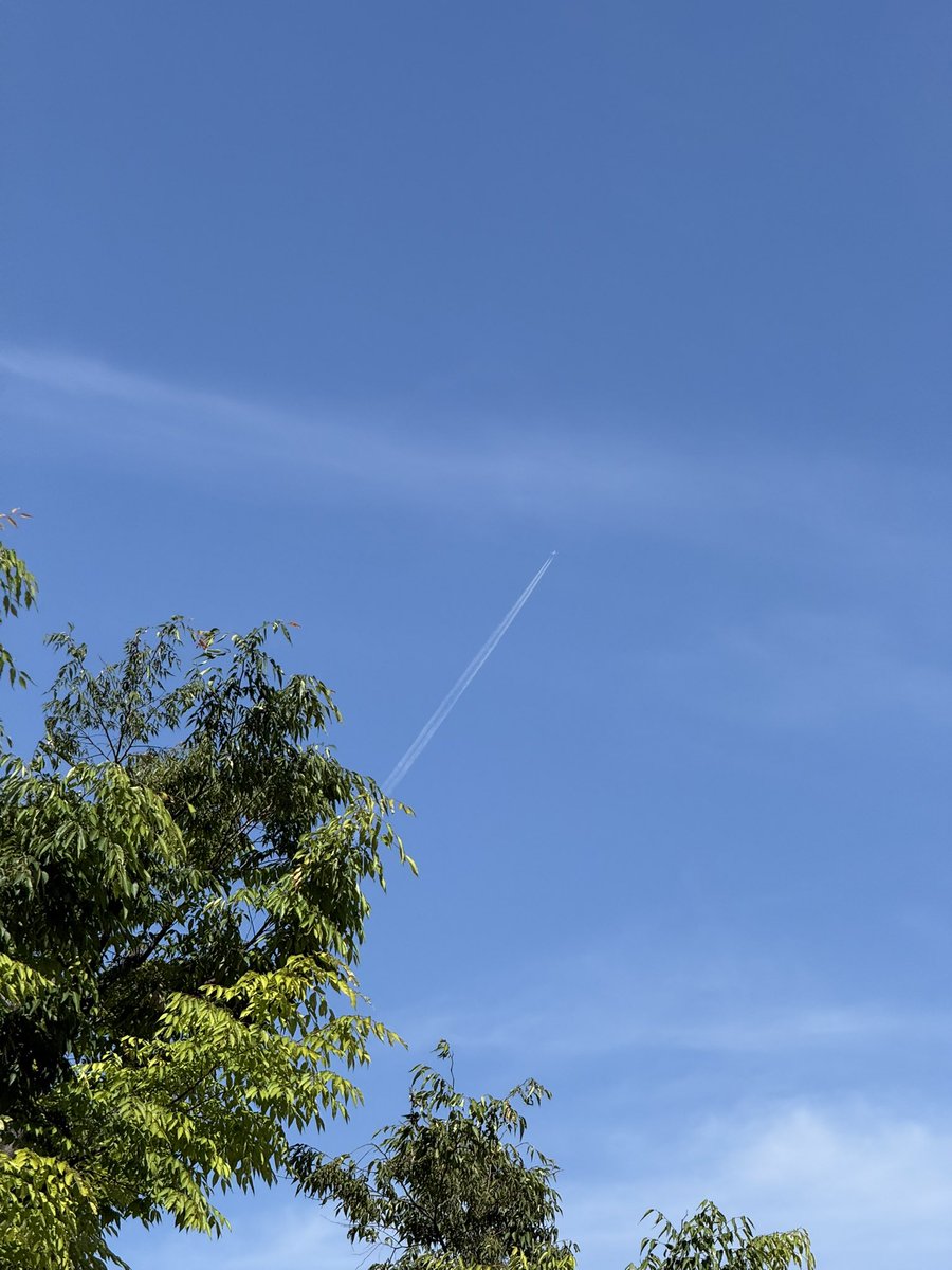 CySffj's tweet photo. 맑은 날씨만큼 좋았던 고 베 🫂🧡 https://t.co/dn0BcbrkYq