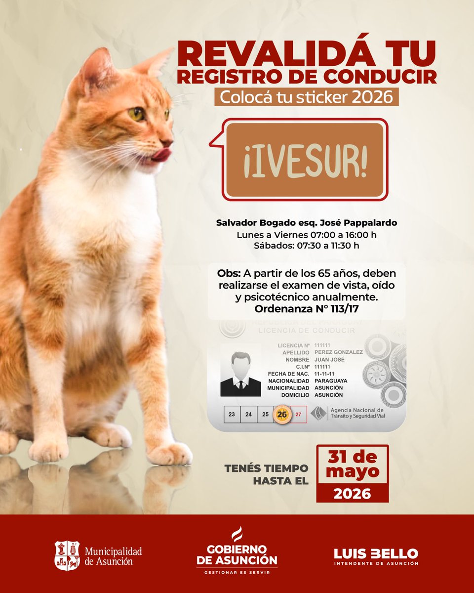 AsuncionMuni's tweet photo. ¡Hasta fin de mes! 🪪
🐱 #AsuInforma que los sábados podés realizar la revalidación de tu licencia de conducir en IVESUR, hasta las 11:30 h. ⏰
Acercate antes del 31 de mayo y ponete al día con este documento municipal. 👋🏻 https://t.co/4YxxQwf68i