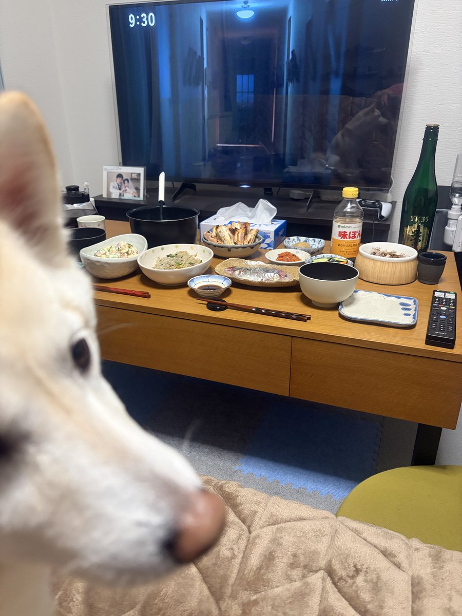 白桃 tweet media