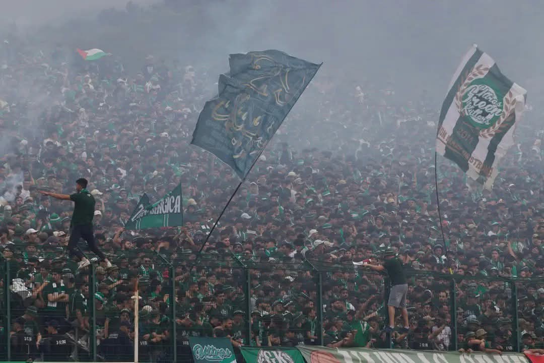 oussamased's tweet photo. USMB 💚🤍 https://t.co/dLH3FC5dGv