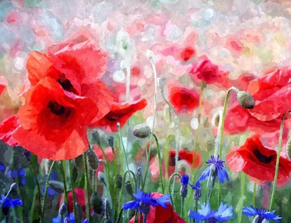 MyPaintbyNumber's tweet photo. 💐[Mother's Day SALE] - 3 days for up to 75% off! - https://t.co/fZwwD63ZFD https://t.co/qjjVpY73eT