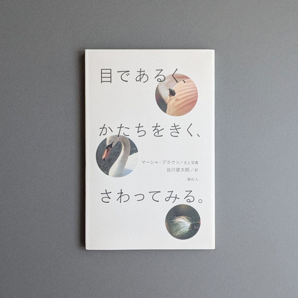 蟹座〉マーシャ・ブラウン | 目であるく、かたちをきく、さわってみる