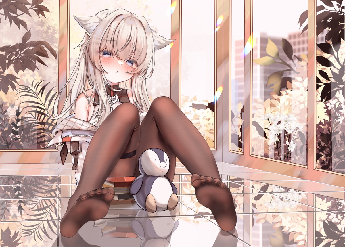 草貓 くさねこ tweet media