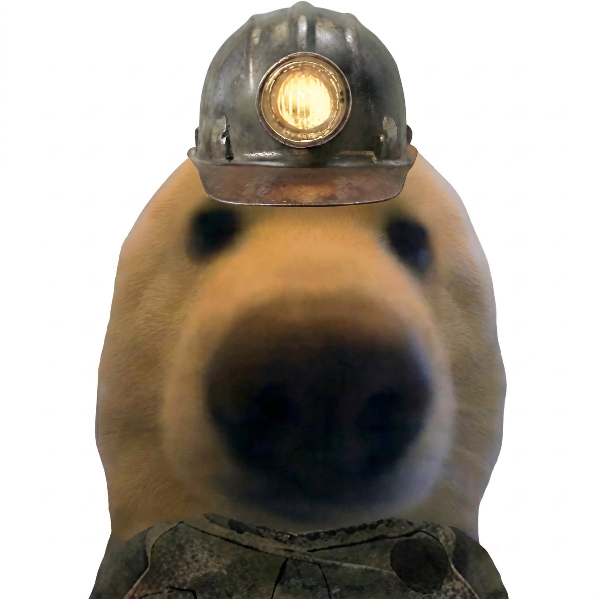 Doug (@thedougsol) / Posts / X
