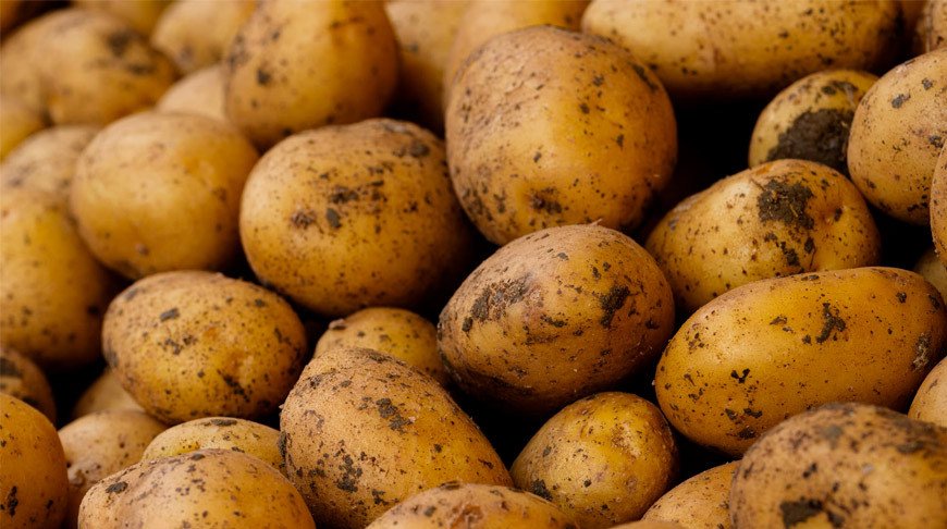 Используя только продукты, покажите где вы выросли 
Легчайшая