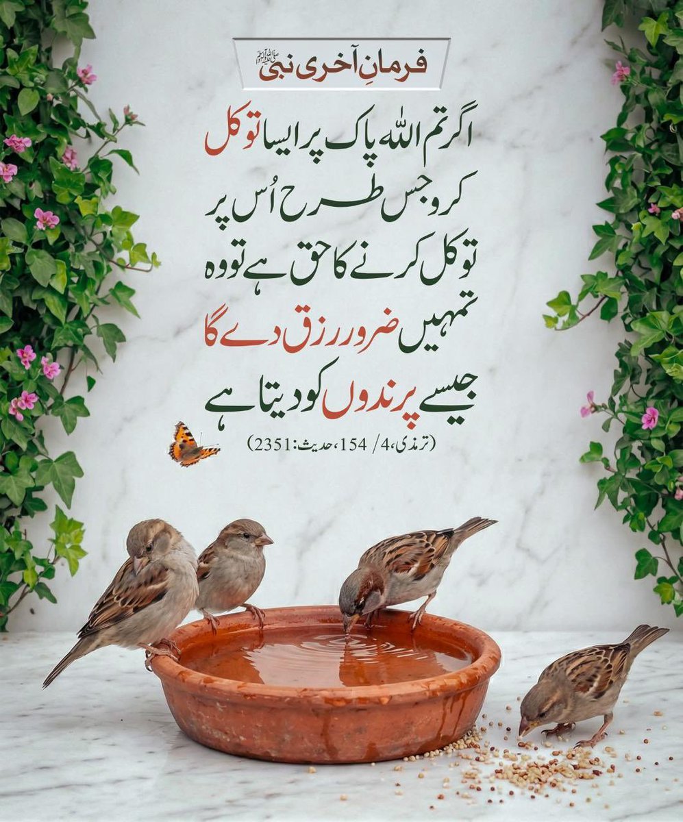Hadeeth_Nabvi's tweet photo. https://t.co/V5s1aRUbVZ