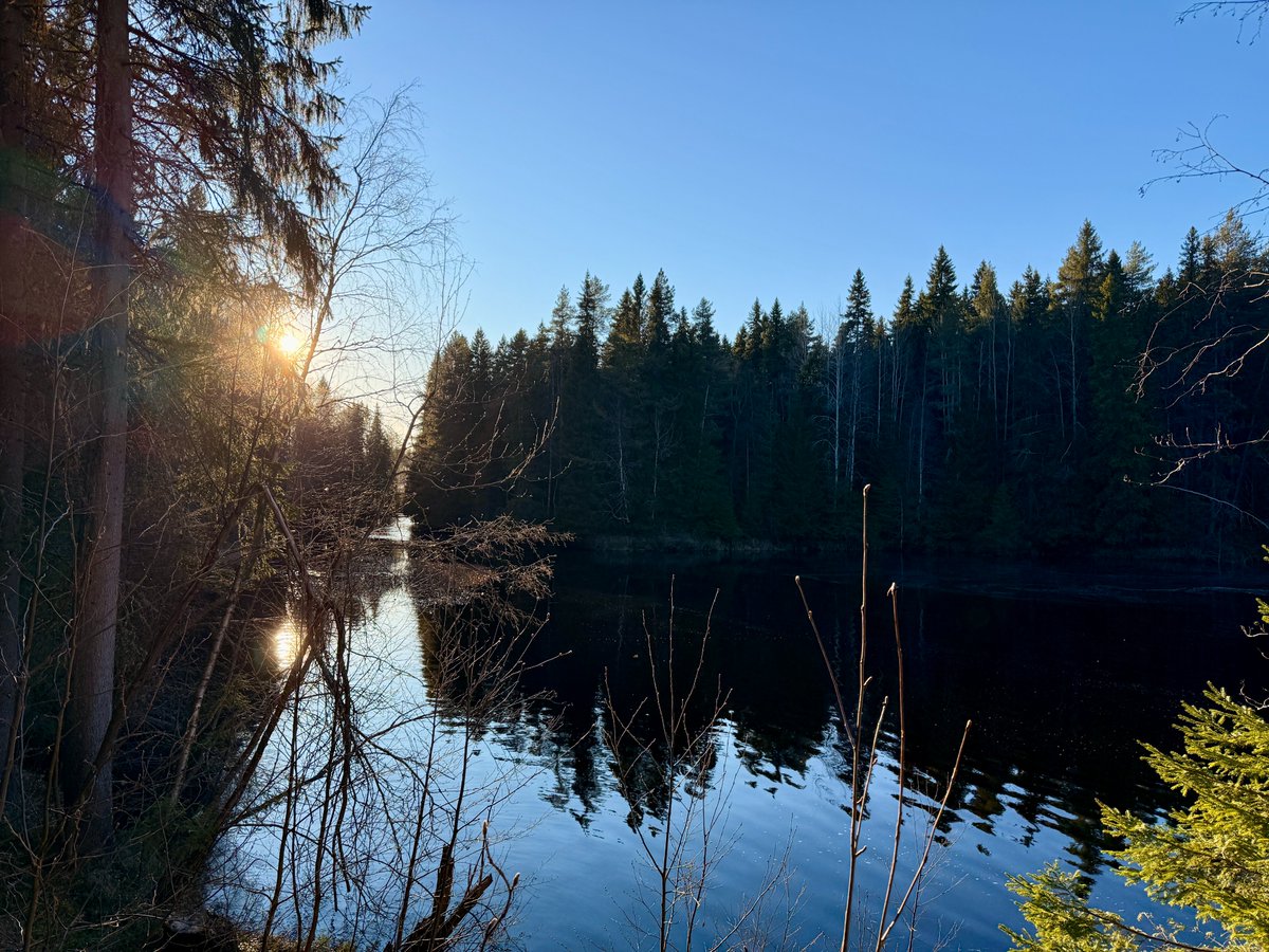 EUYOtweets's tweet photo. About last night... EUYO discovers 🇪🇺 Capital of Culture🇫🇮 @Oulu2026offici 🤩 

🔵 traditional smoke sauna and delicious salmon soup 😀
🔵 𝗰𝗶𝘁𝘆 𝗸𝗲𝘆 𝗳𝗮𝗰𝘁𝘀: best air quality, student accomodation, @NatGeo #BestOfTheWorld travel destination, and more

🙏@LauriNikula @HussoJarmo Ari Alatossava and colleagues for your warm welcome and this beautiful evening.

#EUYOinOulu #Oulu2026 #EuropeanCapitalOfCulture 

📸 Maria Isabela Nica/EUYO