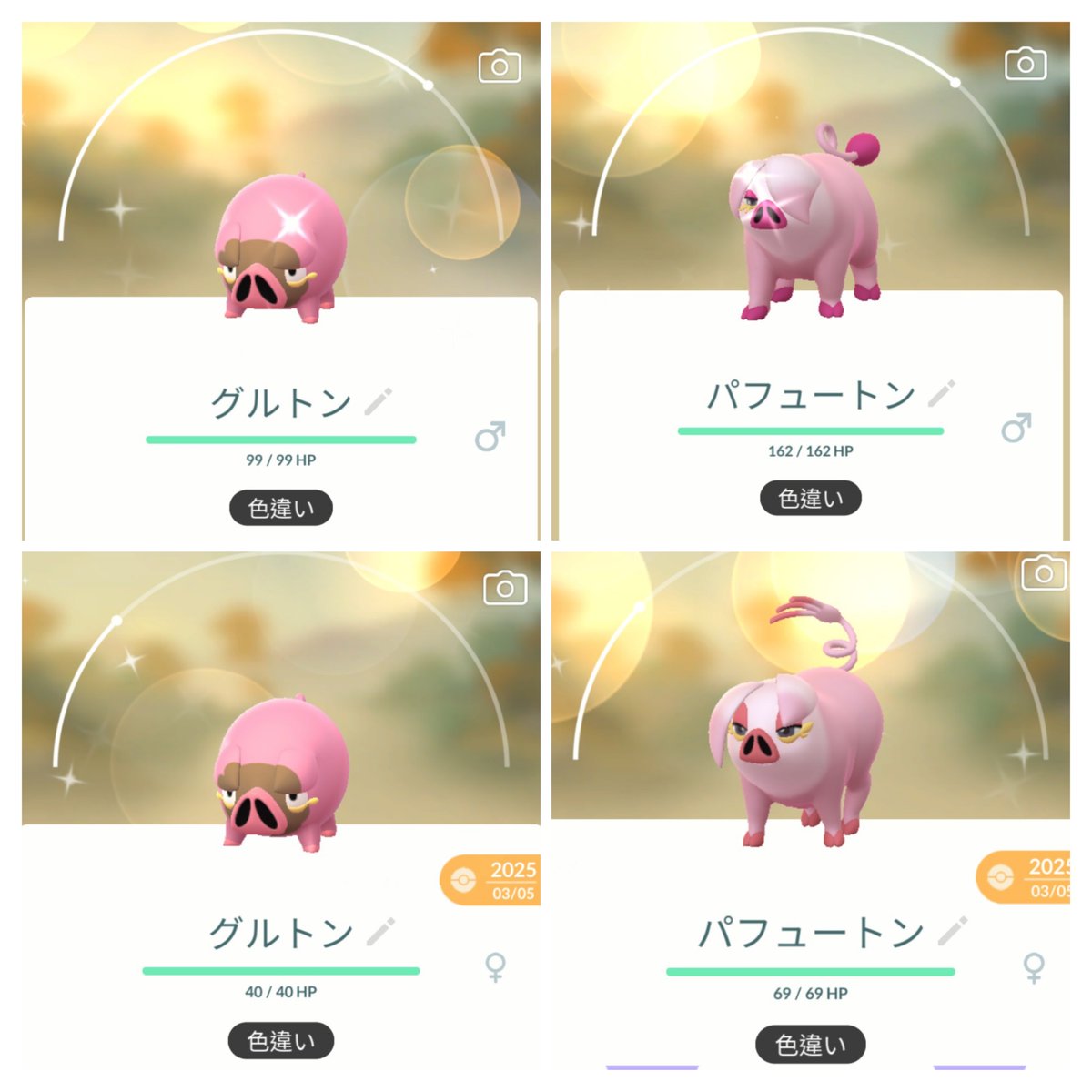 こっでぃ tweet media