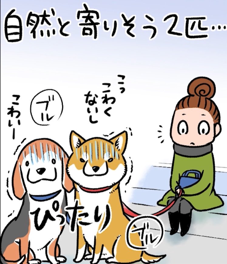 【旧作「もふもふ犬まみれ」セレクション『でこぼこコンビ!』part.3」② 