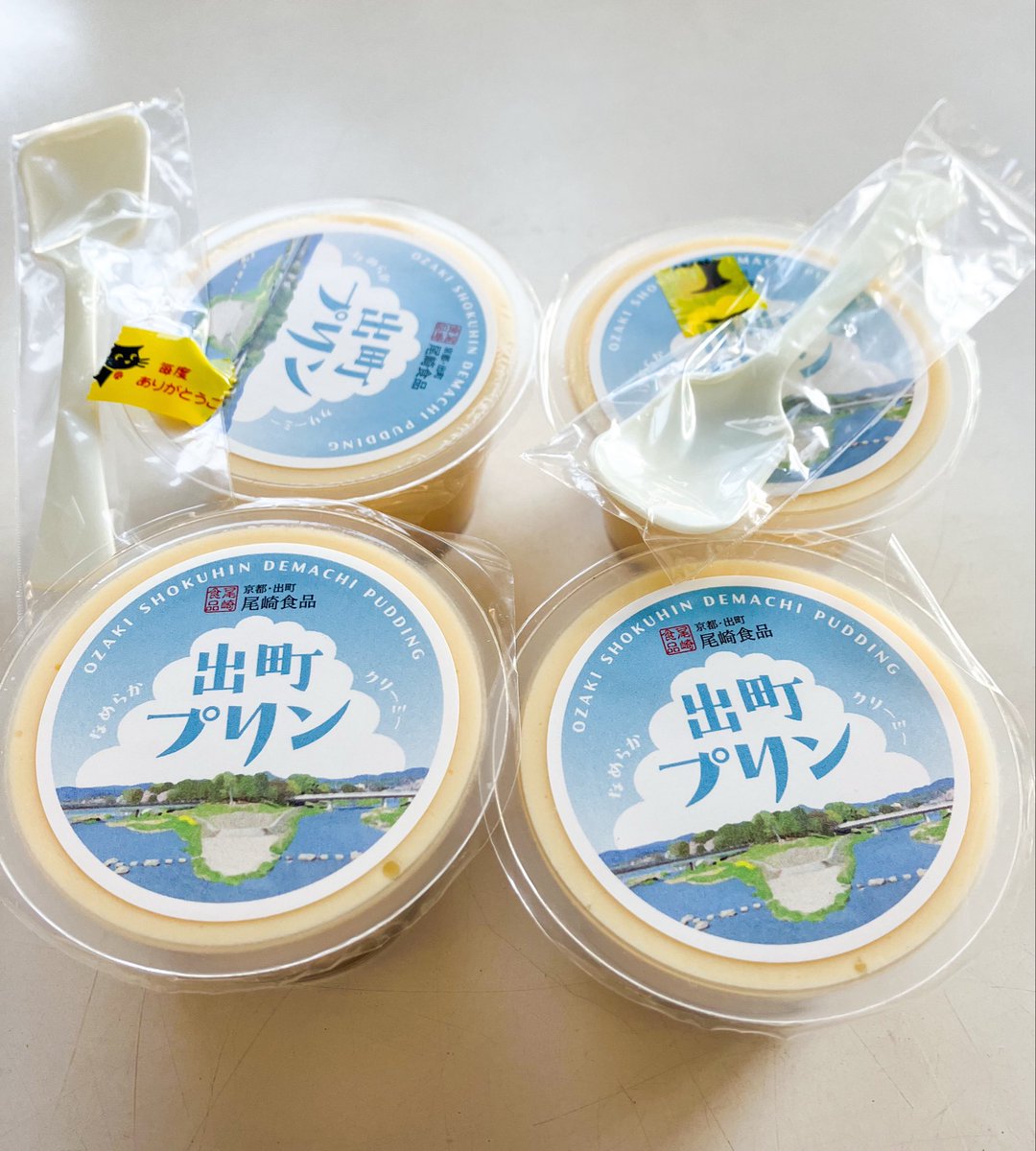 【プリン】 鴨川デルタの実効支配者である私は動揺し、その場で京都・出町プリンを